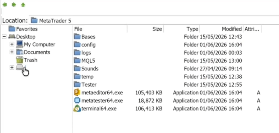 MetaTrader folder window showing the disk marked slash