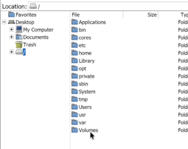 MetaTrader folder window showing the Volumes folder